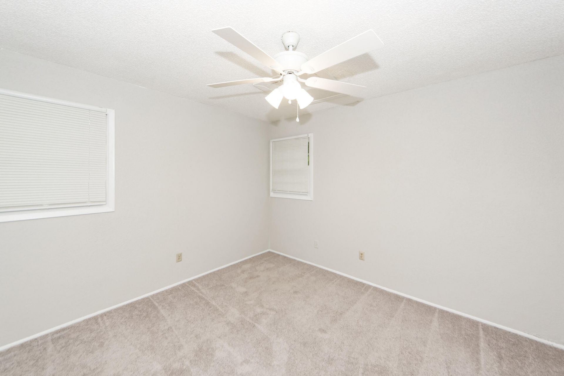 1836 Camp Road Photo 16