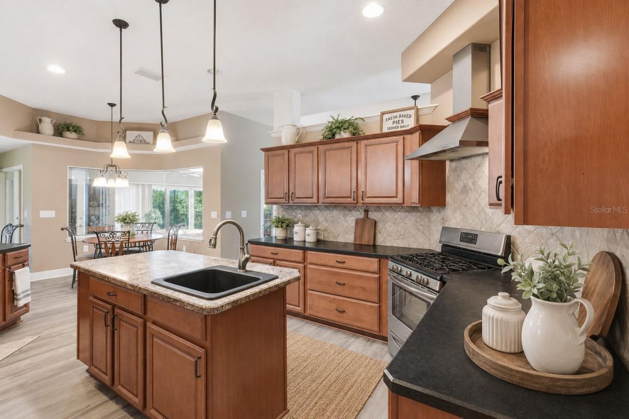 12764 County Road 223, Oxford, FL 34484 Photo