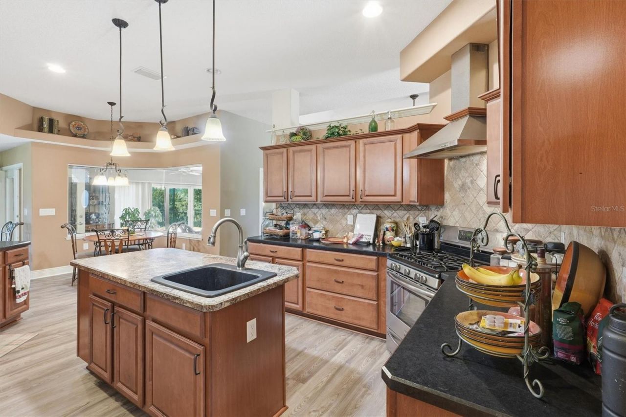 12764 County Road 223, Oxford, FL 34484 Photo