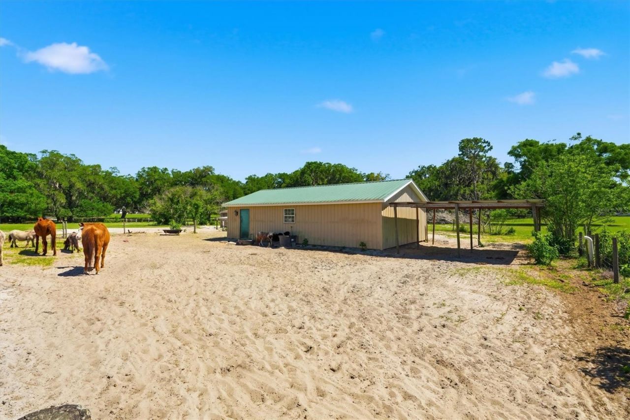 12764 County Road 223, Oxford, FL 34484 Photo