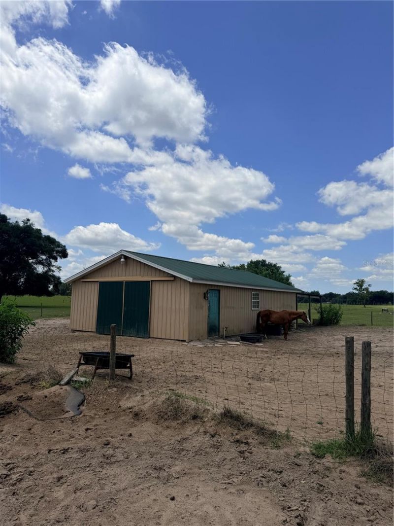 12764 County Road 223, Oxford, FL 34484 Photo
