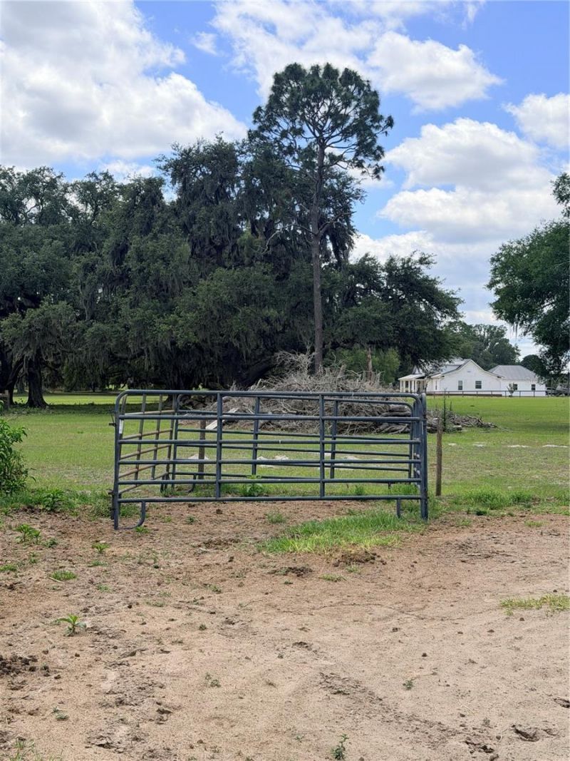 12764 County Road 223, Oxford, FL 34484 Photo