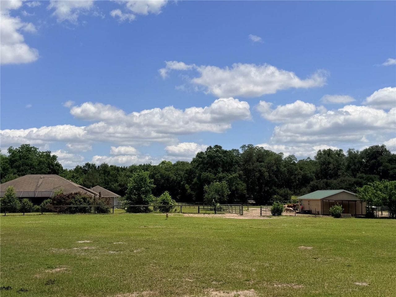 12764 County Road 223, Oxford, FL 34484 Photo