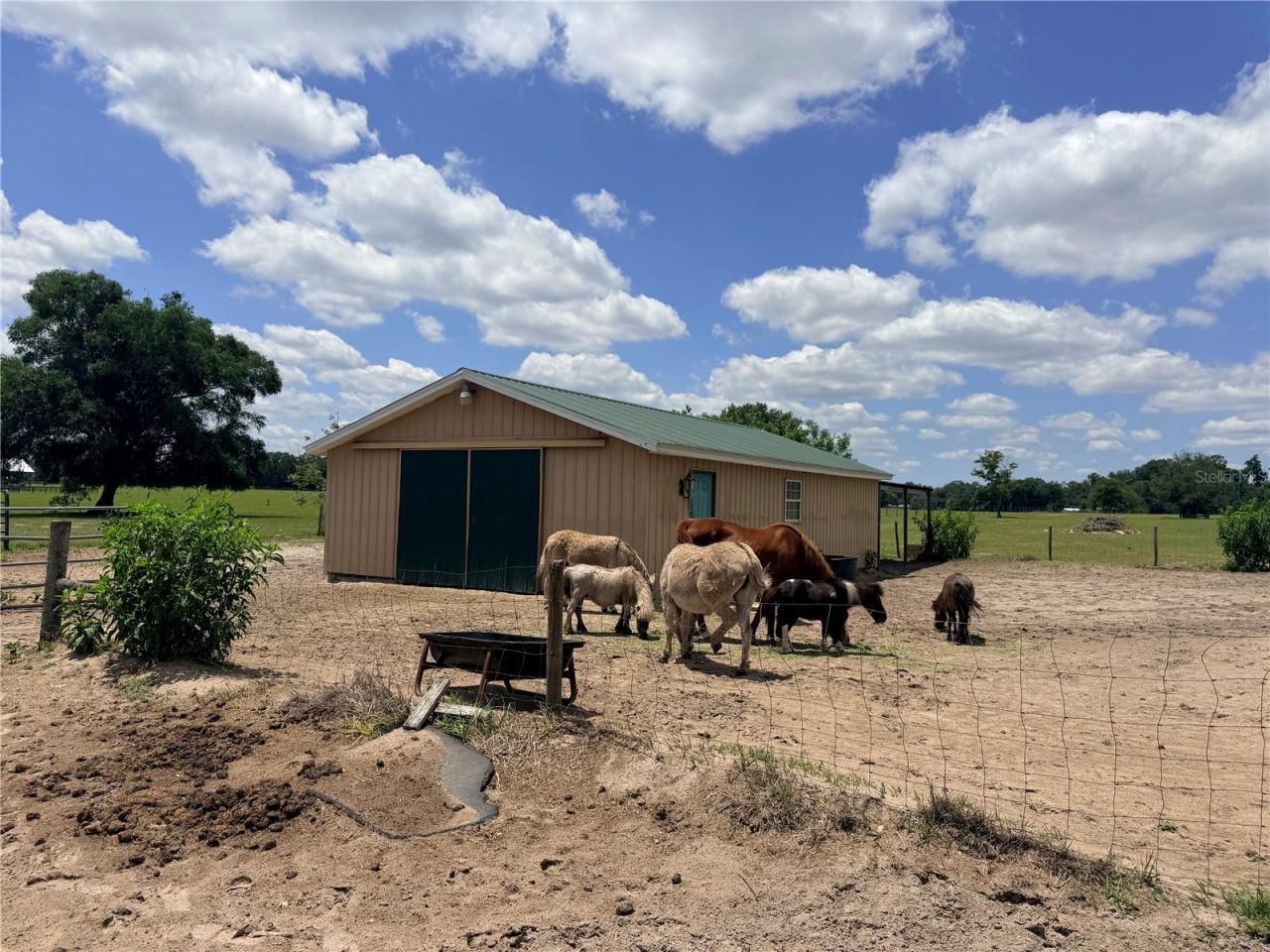 12764 County Road 223, Oxford, FL 34484 Photo