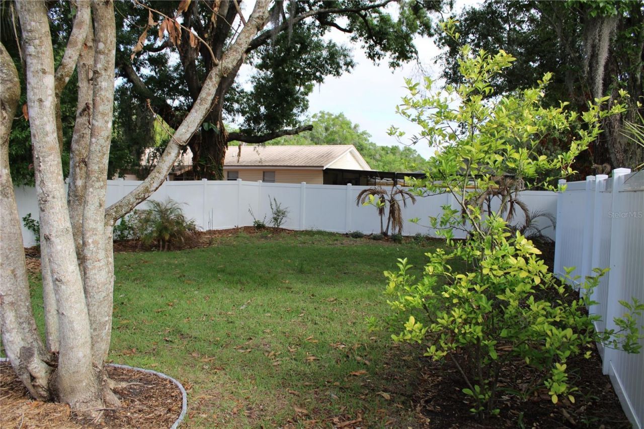 1106 E Dr Martin Luther King Jr Boulevard, Plant City, FL 33563 Photo