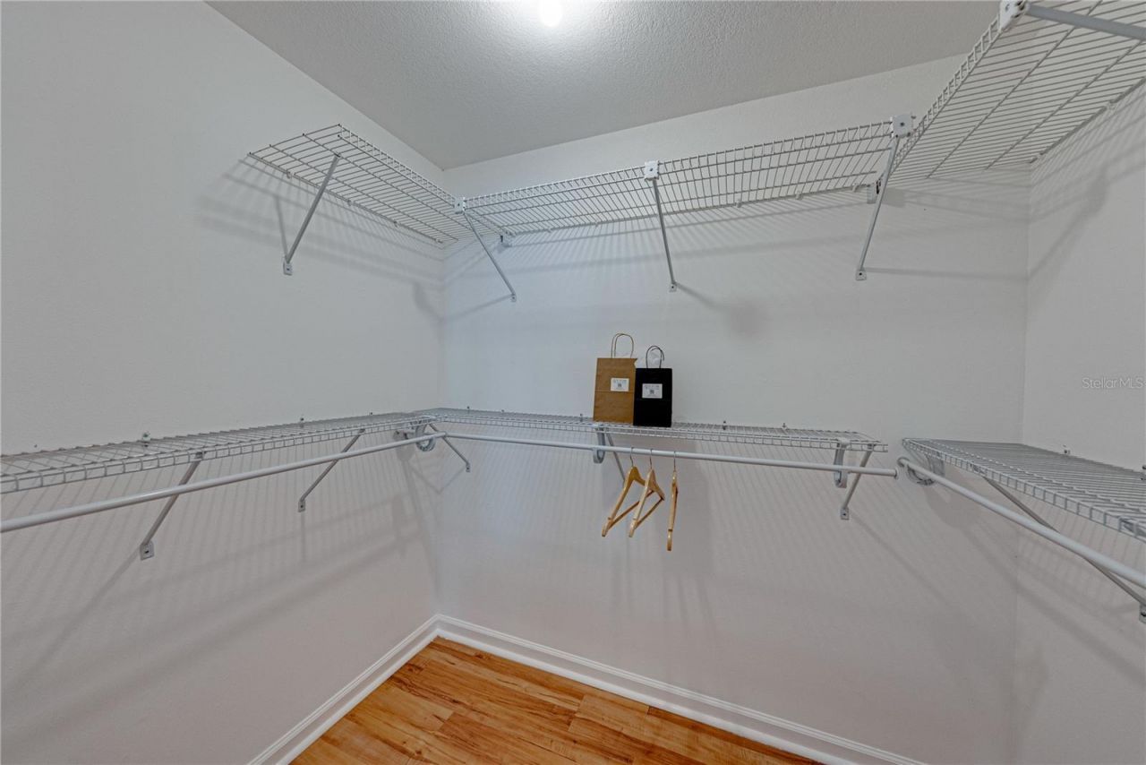 7601 Thunderhead Street, Wesley Chapel, FL 33544 Photo