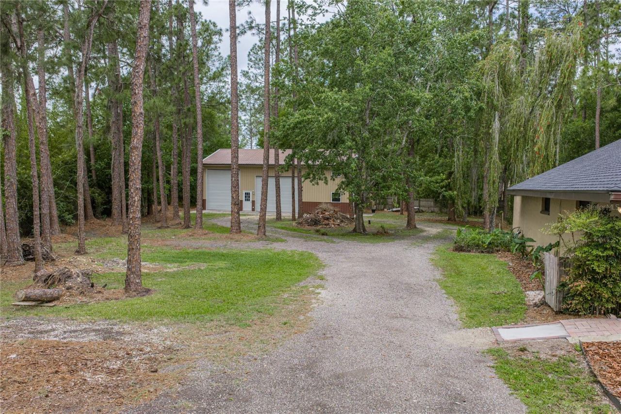 7601 Thunderhead Street, Wesley Chapel, FL 33544 Photo