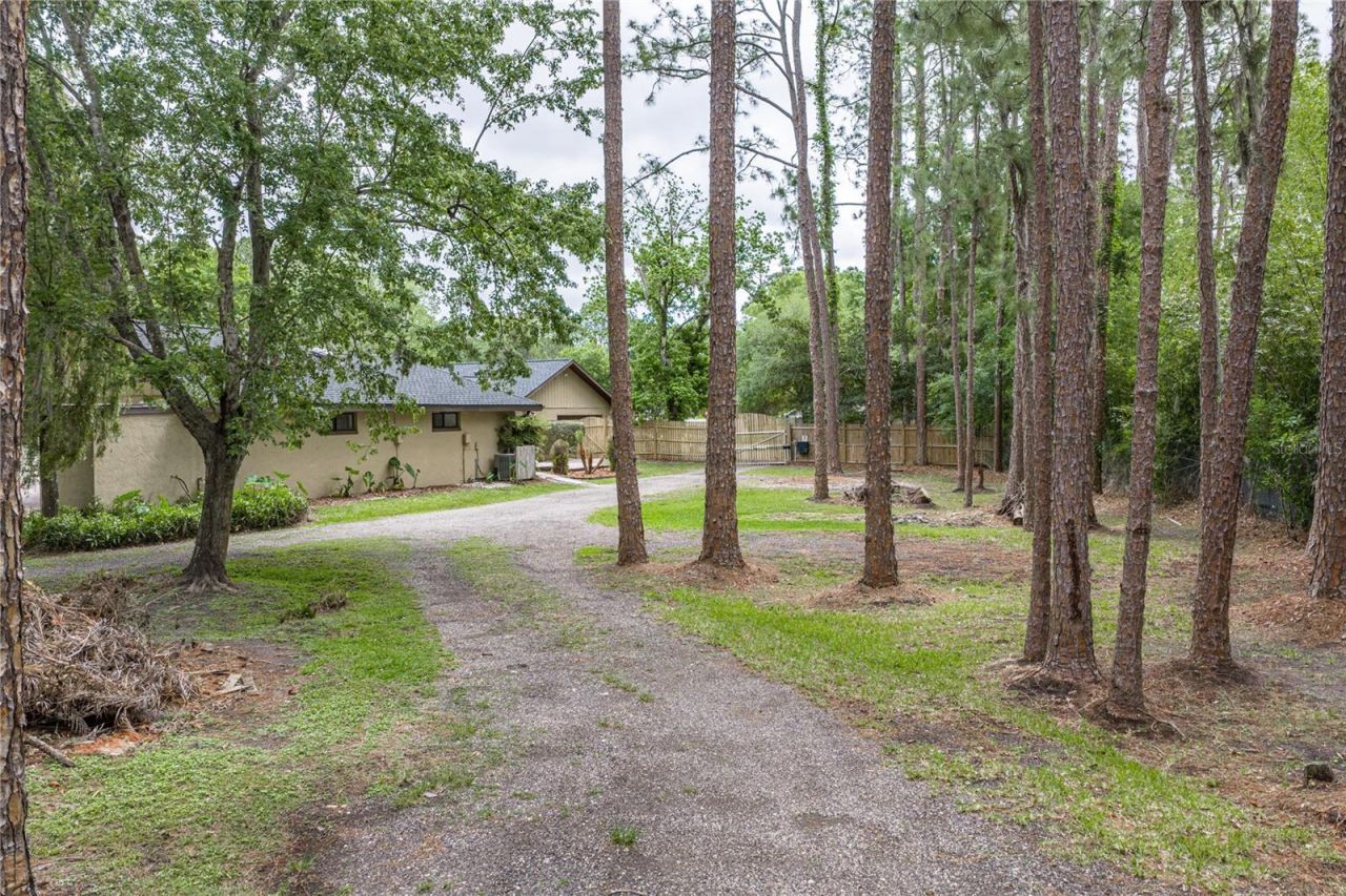 7601 Thunderhead Street, Wesley Chapel, FL 33544 Photo