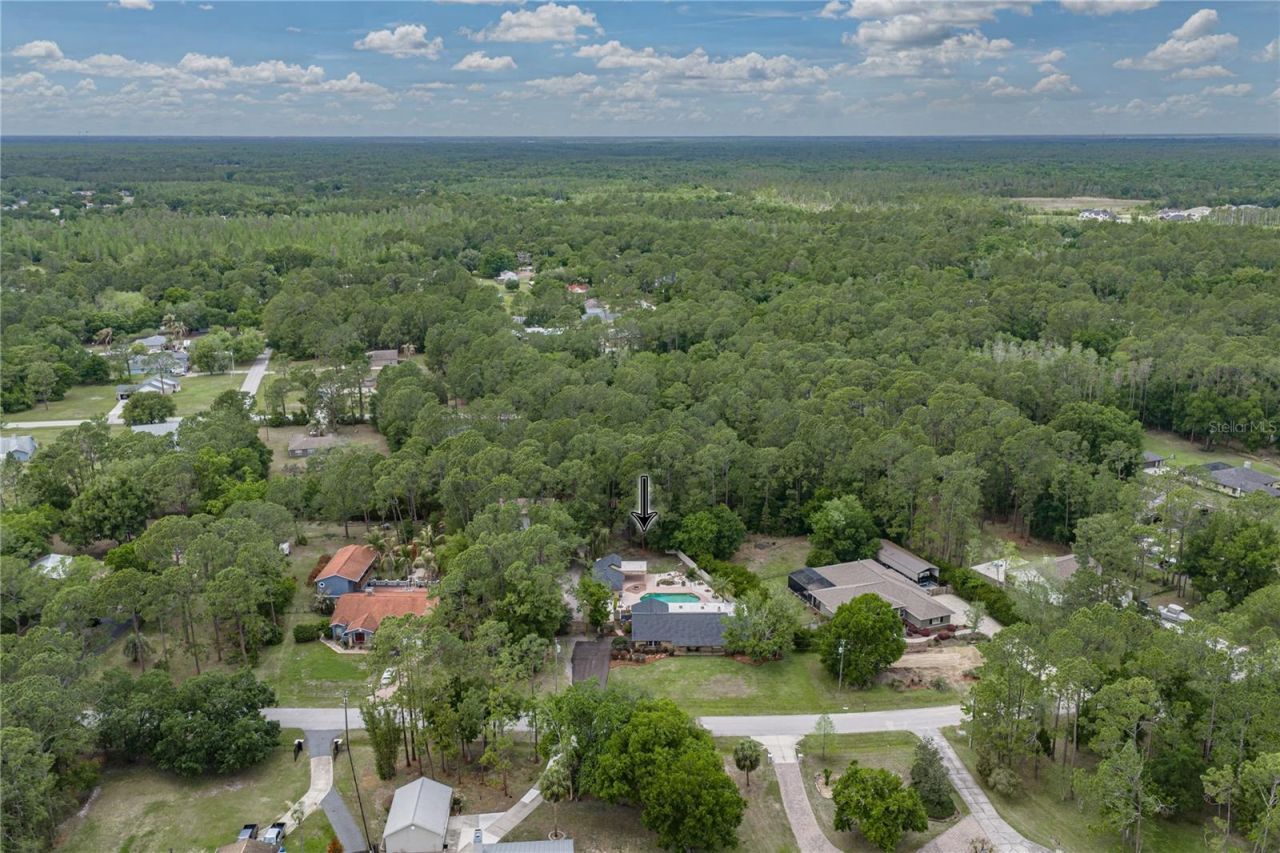 7601 Thunderhead Street, Wesley Chapel, FL 33544 Photo