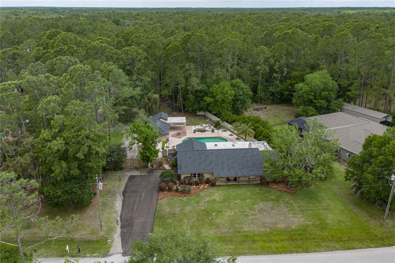 7601 Thunderhead Street, Wesley Chapel, FL 33544 Photo