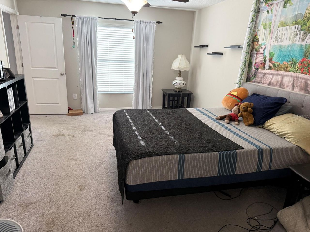 6629 Wagon Trail Street , Zephyrhills, FL 33541 Photo