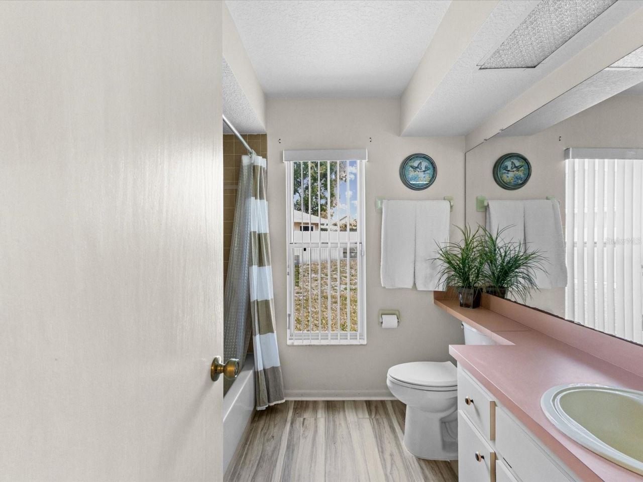 8052 Spring Hill Drive, Spring Hill, FL 34606 Photo