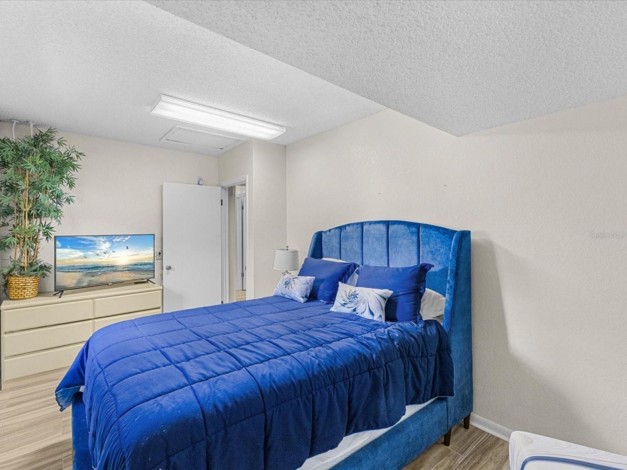 8052 Spring Hill Drive, Spring Hill, FL 34606 Photo