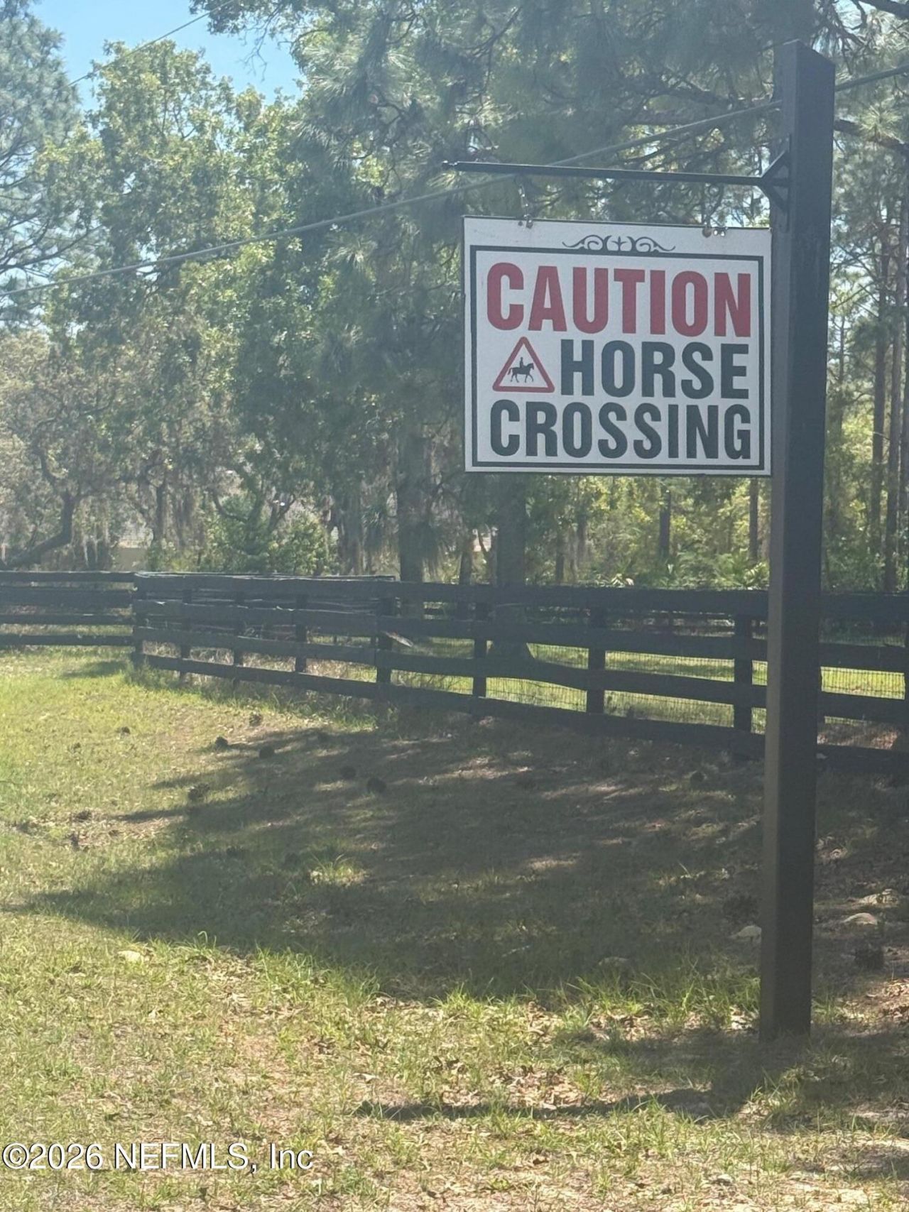 4247 N Amarillo Drive, Beverly Hills, FL 34465 Photo