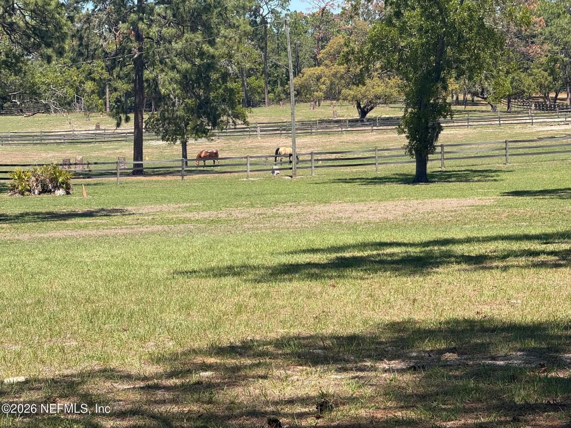 4247 N Amarillo Drive, Beverly Hills, FL 34465 Photo