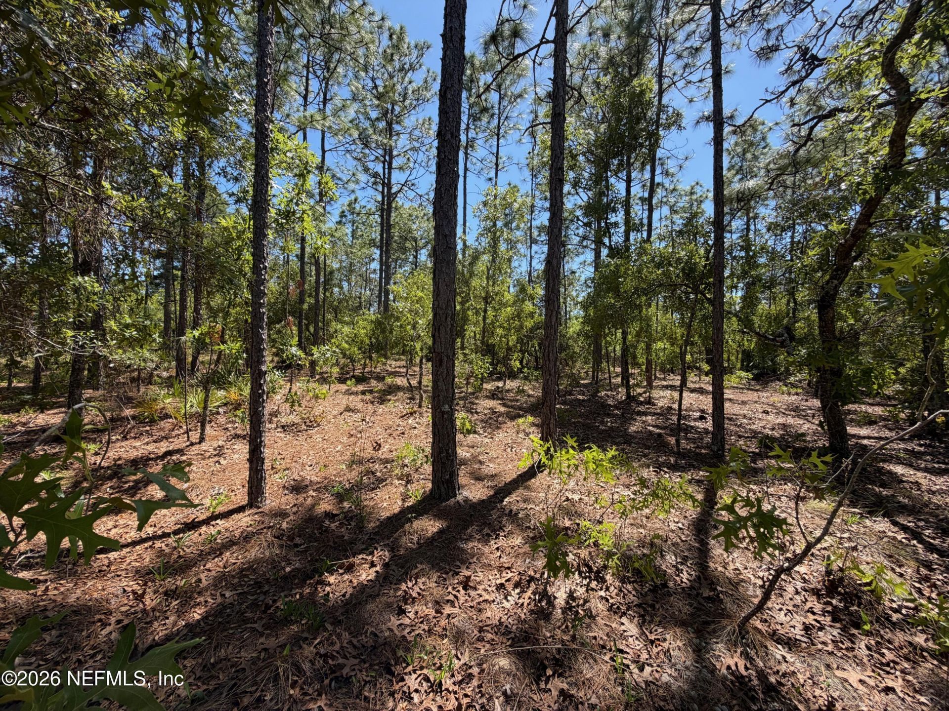 4247 N Amarillo Drive, Beverly Hills, FL 34465 Photo