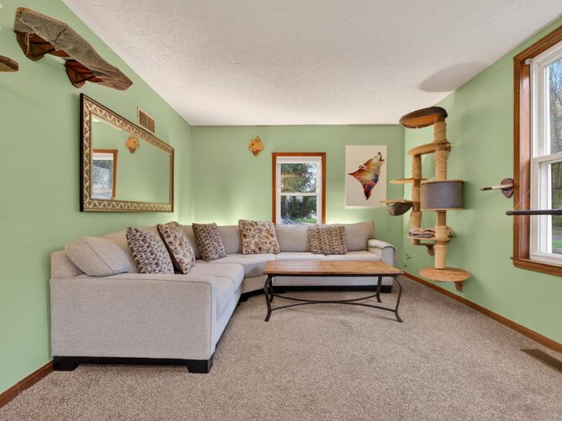 136 N Park Street, Oberlin, OH 44074 Photo 13