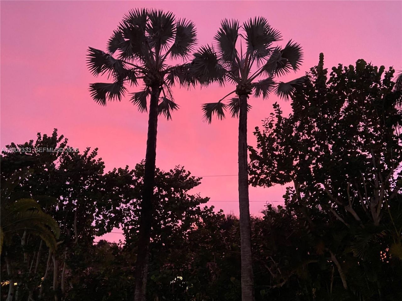 9840 SW 69th Ave, Pinecrest, FL 33156 Photo