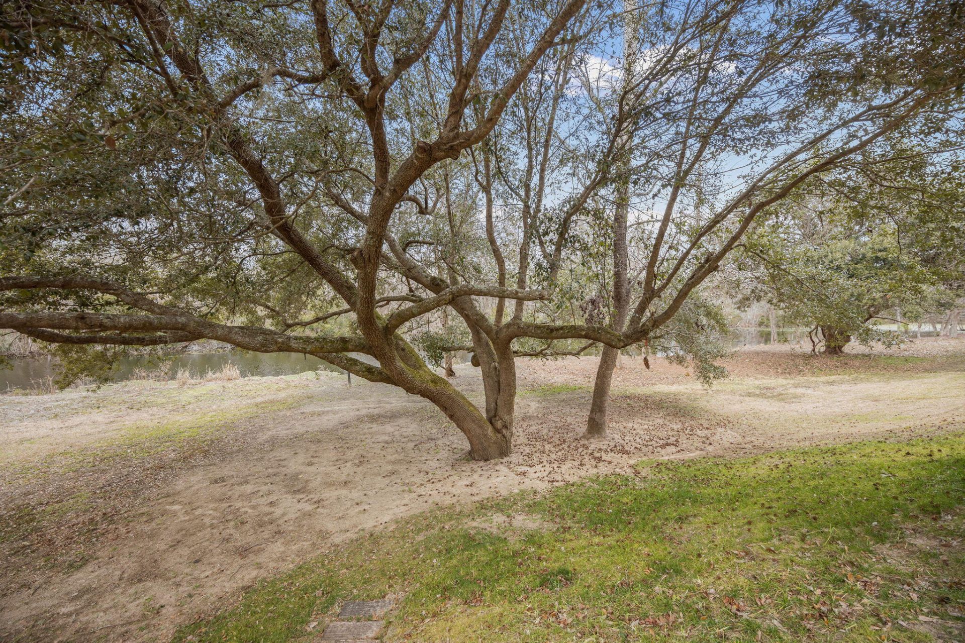 9057 Parlor Drive Photo 23