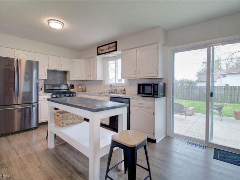 1157 Novak Road, Grafton, OH 44044 Photo 10