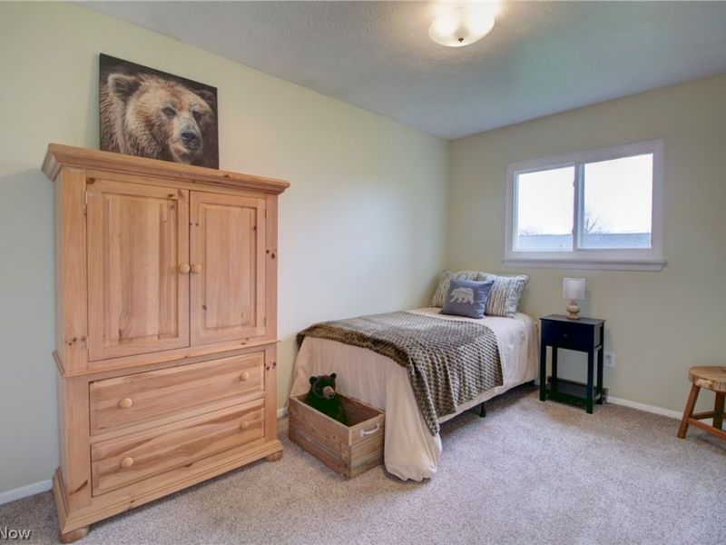 1157 Novak Road, Grafton, OH 44044 Photo 17