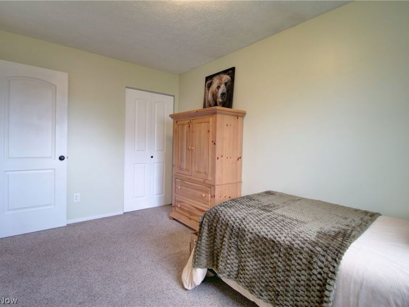 1157 Novak Road, Grafton, OH 44044 Photo 18