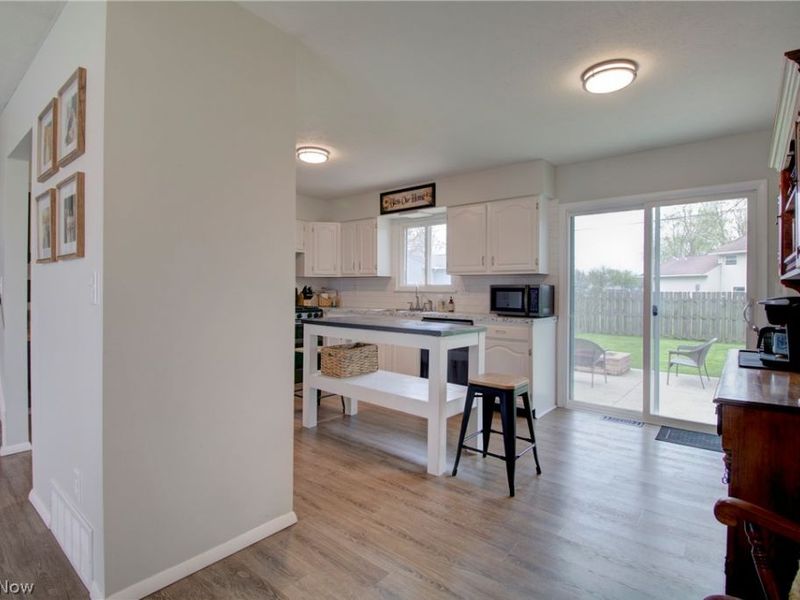 1157 Novak Road, Grafton, OH 44044 Photo 9