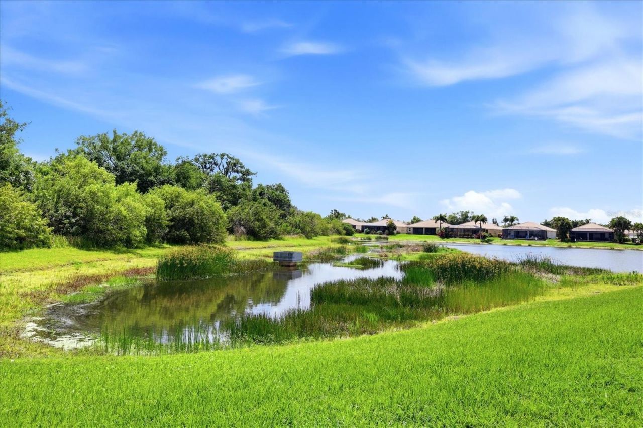 431 Grand Preserve Cv, Bradenton, FL 34212 Photo