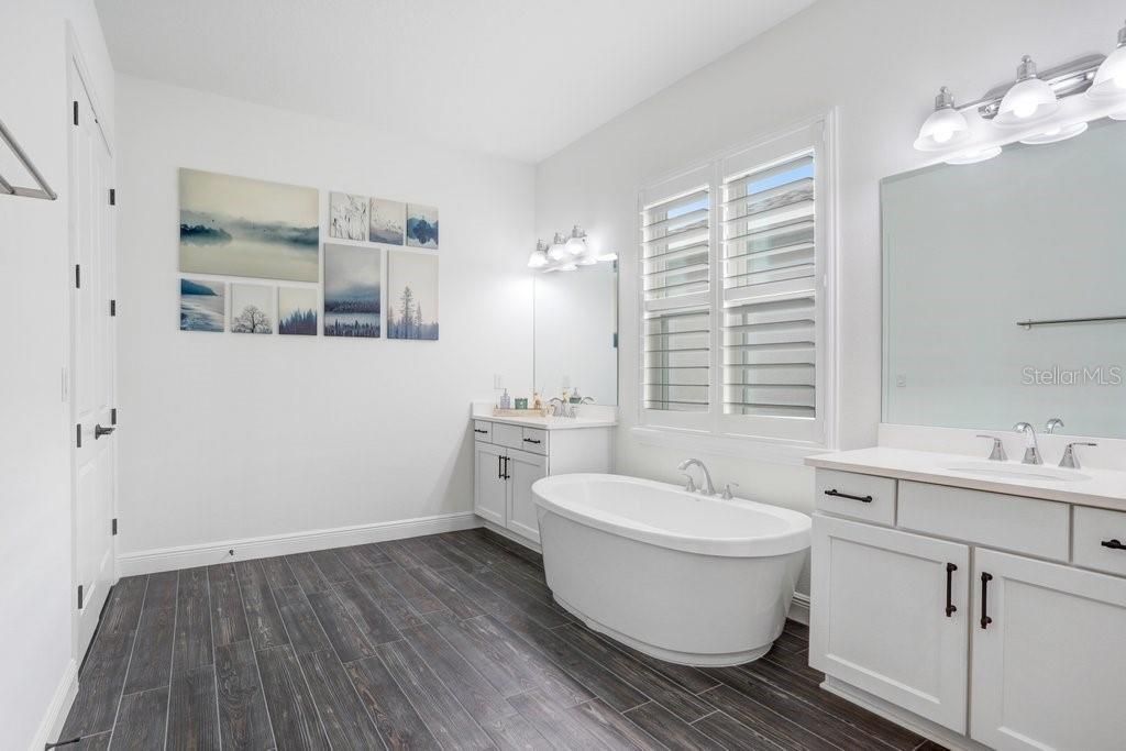 16247 November Rain Court , Land O Lakes, FL 34638 Photo