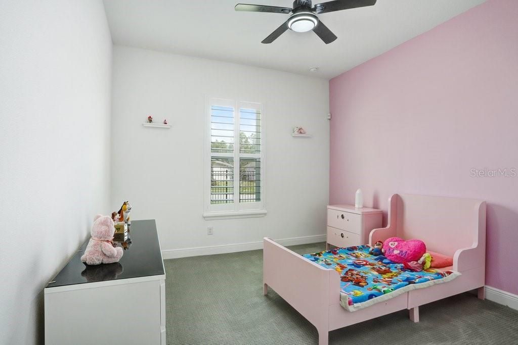 16247 November Rain Court , Land O Lakes, FL 34638 Photo