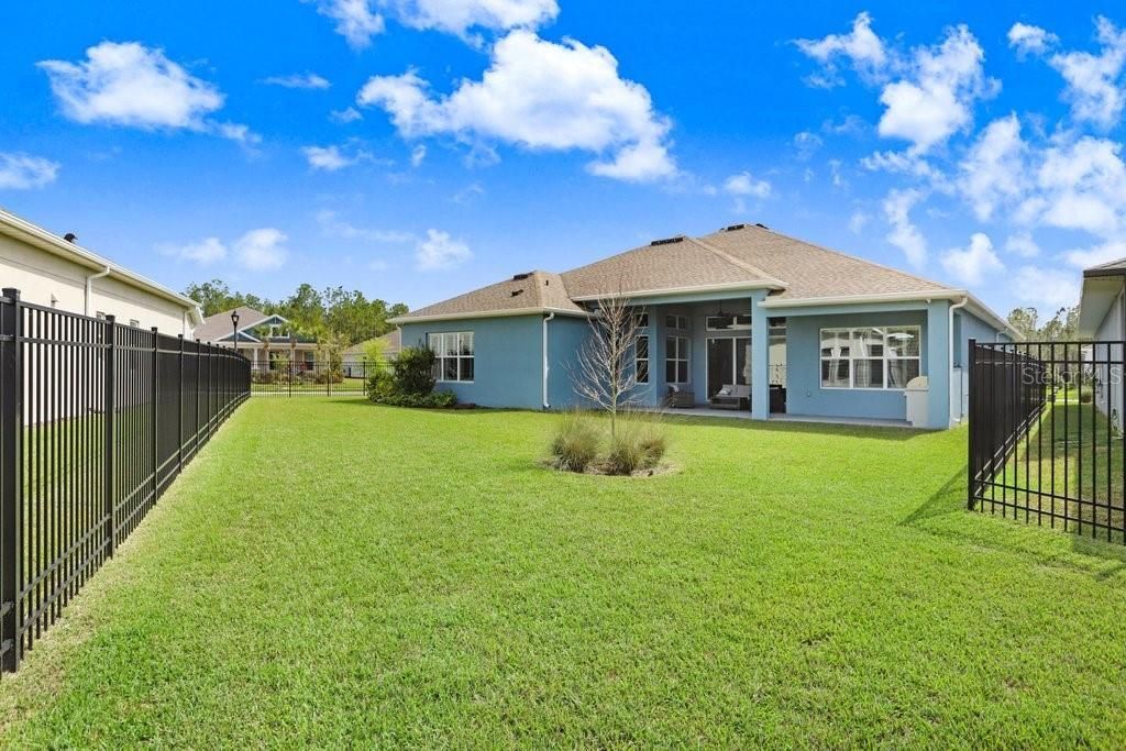 16247 November Rain Court , Land O Lakes, FL 34638 Photo