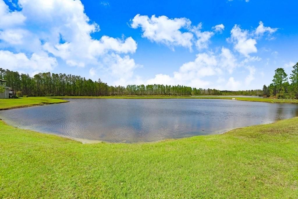 16247 November Rain Court , Land O Lakes, FL 34638 Photo