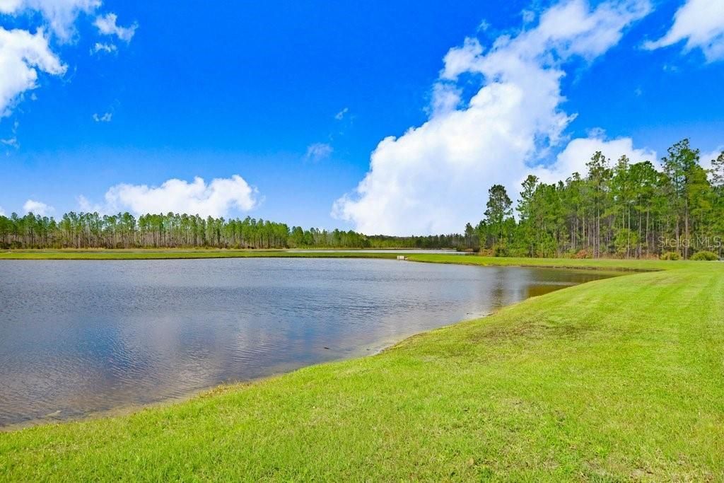 16247 November Rain Court , Land O Lakes, FL 34638 Photo