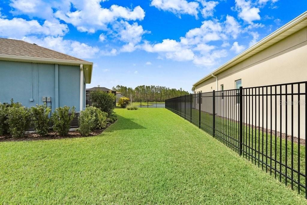 16247 November Rain Court , Land O Lakes, FL 34638 Photo