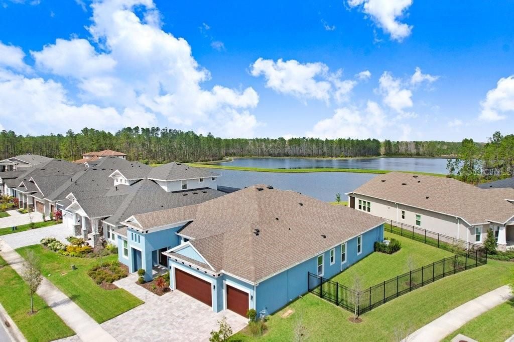 16247 November Rain Court , Land O Lakes, FL 34638 Photo