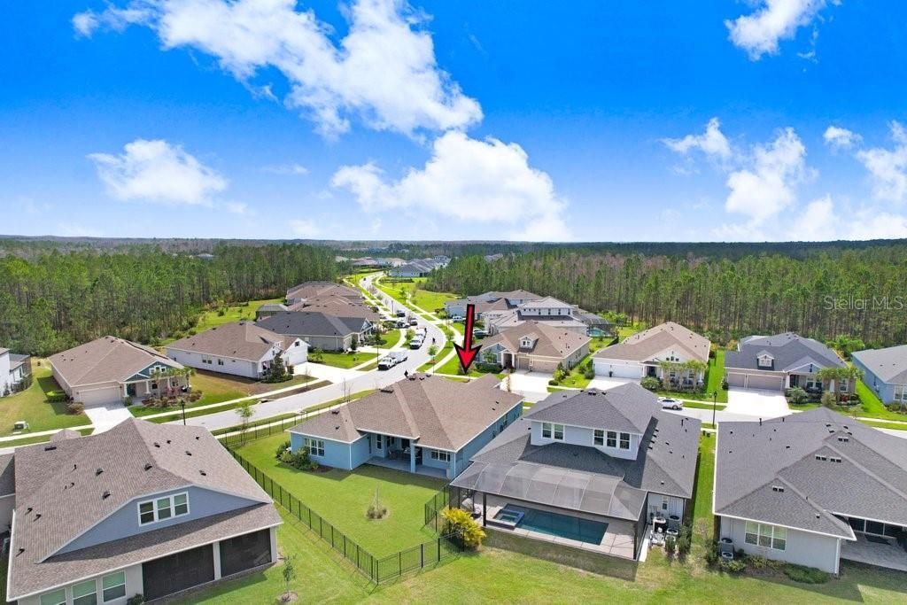 16247 November Rain Court , Land O Lakes, FL 34638 Photo