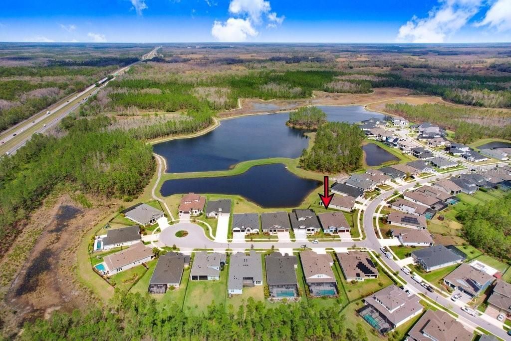 16247 November Rain Court , Land O Lakes, FL 34638 Photo