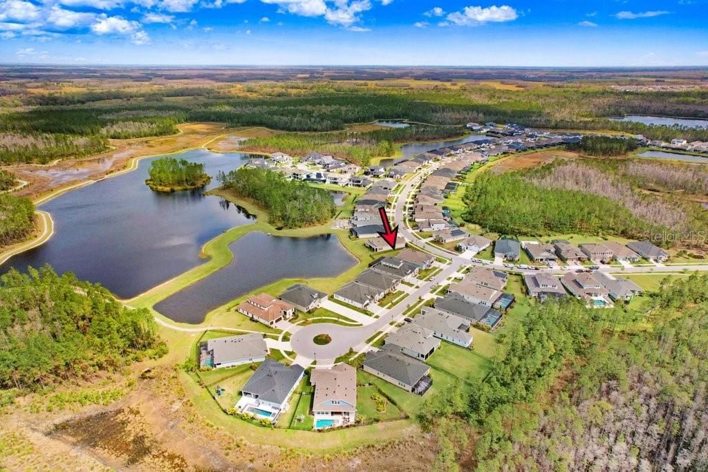 16247 November Rain Court , Land O Lakes, FL 34638 Photo