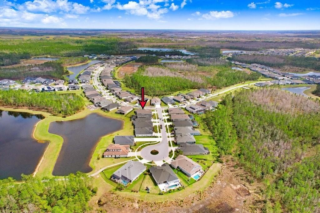 16247 November Rain Court , Land O Lakes, FL 34638 Photo