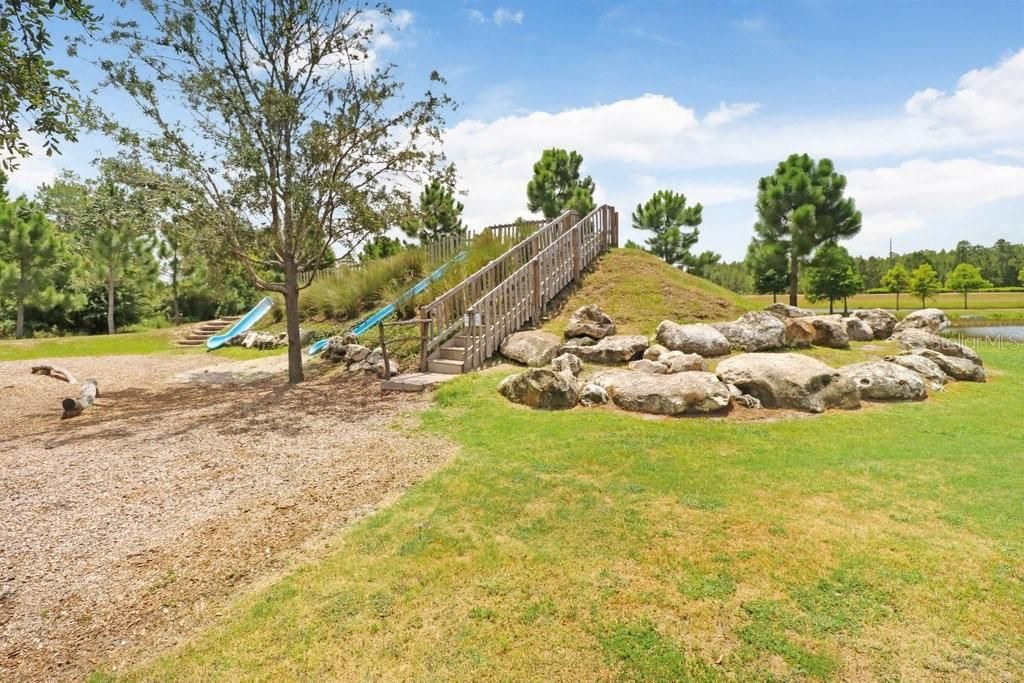 16247 November Rain Court , Land O Lakes, FL 34638 Photo