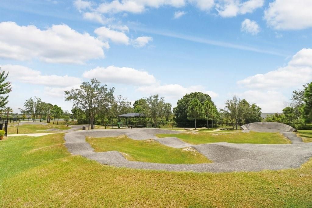 16247 November Rain Court , Land O Lakes, FL 34638 Photo