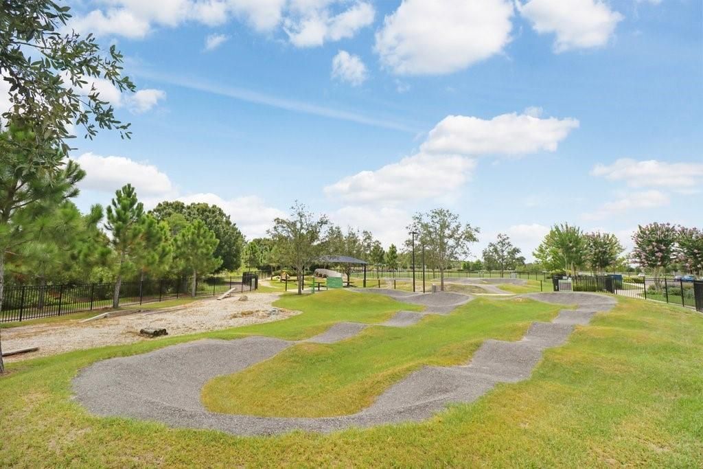 16247 November Rain Court , Land O Lakes, FL 34638 Photo