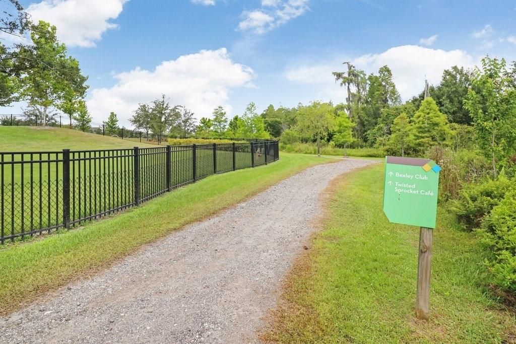 16247 November Rain Court , Land O Lakes, FL 34638 Photo