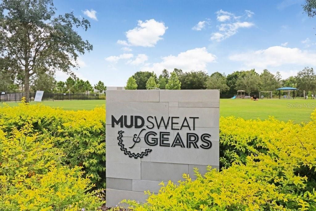 16247 November Rain Court , Land O Lakes, FL 34638 Photo