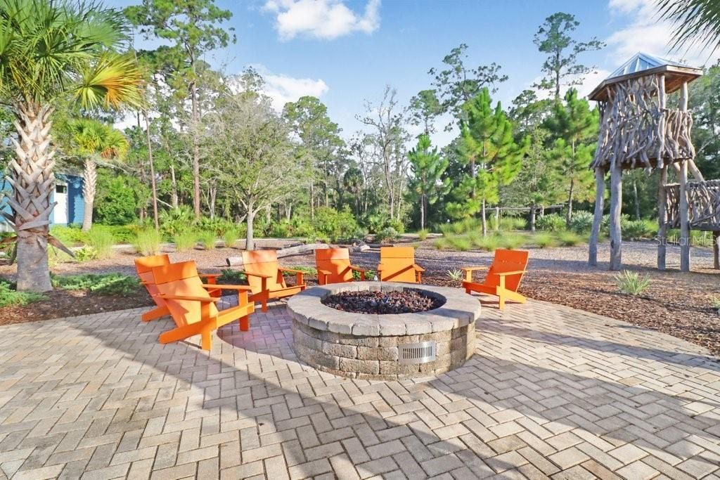 16247 November Rain Court , Land O Lakes, FL 34638 Photo