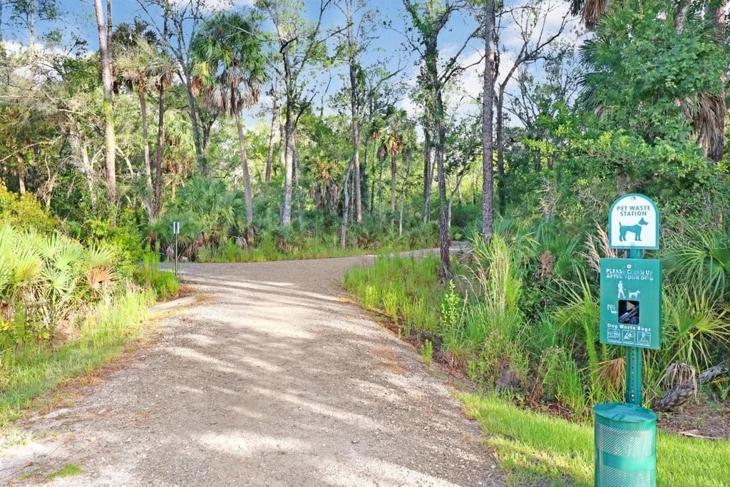 16247 November Rain Court , Land O Lakes, FL 34638 Photo