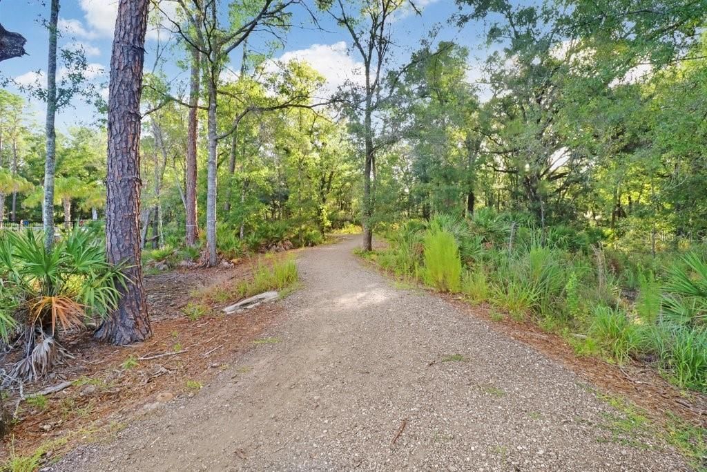 16247 November Rain Court , Land O Lakes, FL 34638 Photo