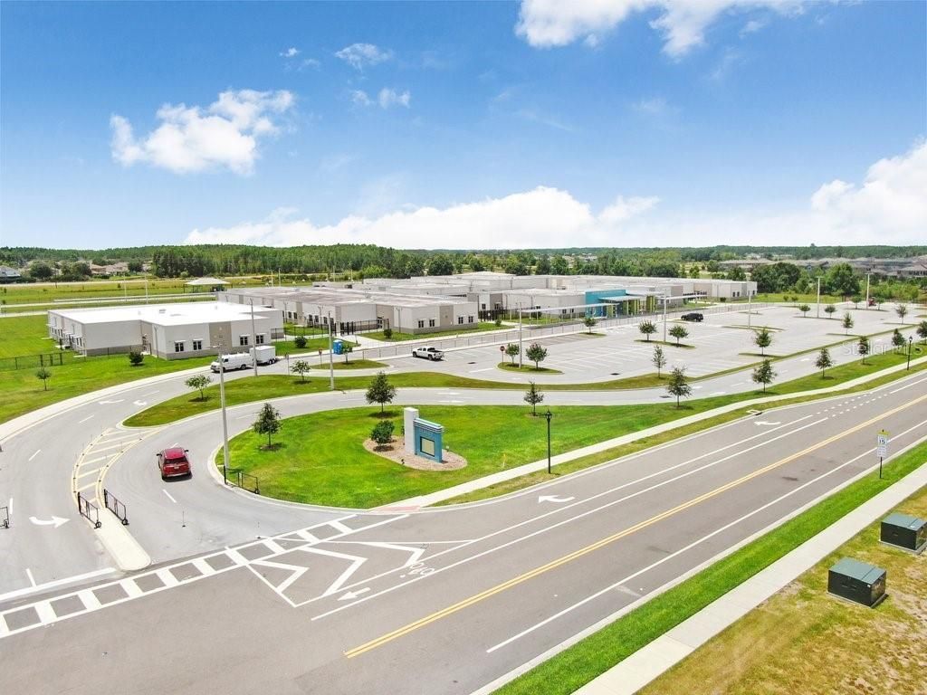 16247 November Rain Court , Land O Lakes, FL 34638 Photo