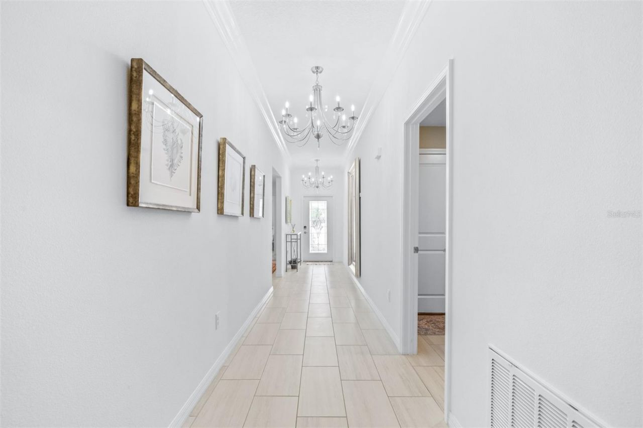 8969 Little Bluestem Drive , Land O Lakes, FL 34637 Photo