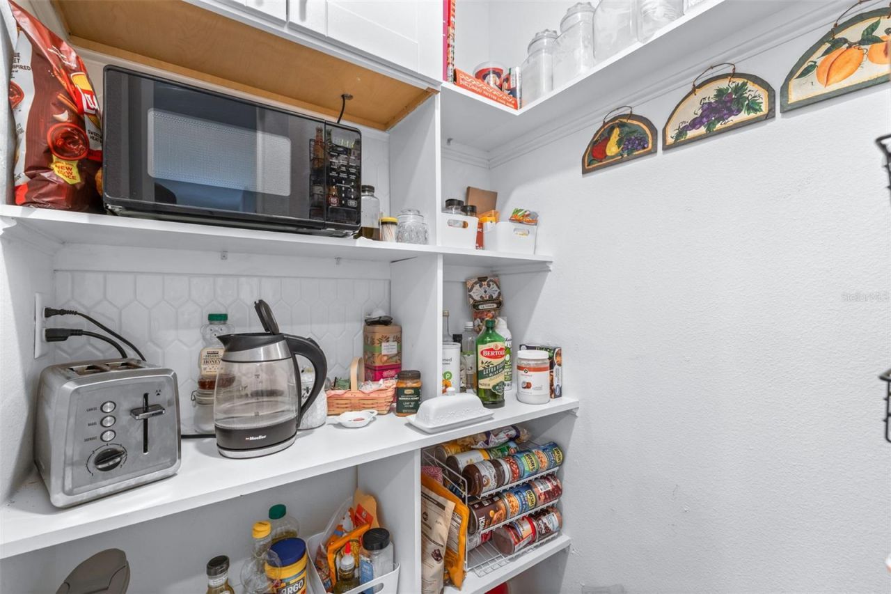 8969 Little Bluestem Drive , Land O Lakes, FL 34637 Photo